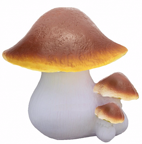 Семейка грибов